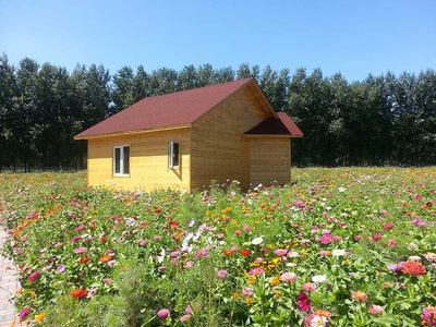 造型藝術(shù)與實(shí)用價(jià)值 花卉與蔬菜的種植造型新趨勢(shì)